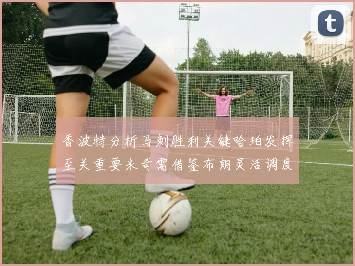 香波特分析马刺胜利关键哈珀发挥至关重要米奇需借鉴布朗灵活调度